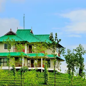Hill Estate Vagamon
